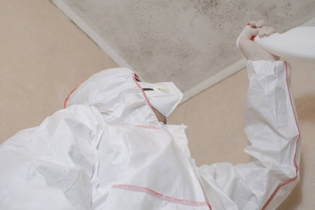 Best Local Mold Removal Service  in Perry Park, CO